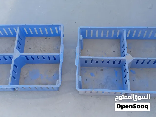 موجود حاضنات نقل صيصان تتسع لاكثر من 100 صوص