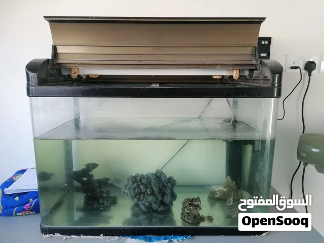 للبيع حوض سمك