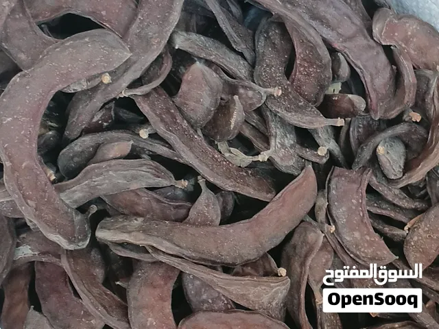 خروب للبيع باربد
