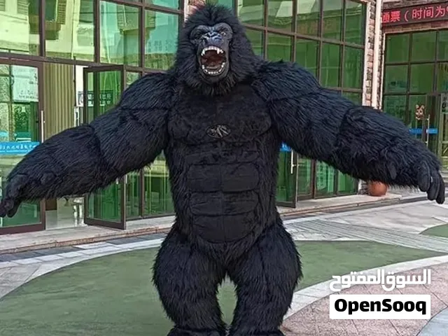 monkey for sale