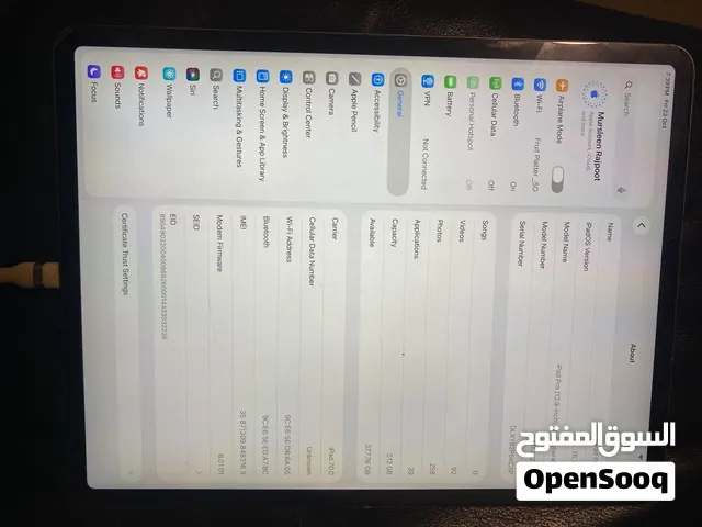 iPad Pro 512 GB