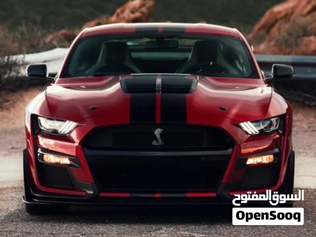 mustang 50024