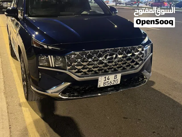سنتافي 23 وارد أمريكي