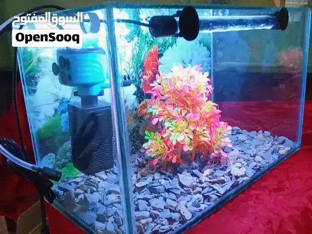 Aquarium 40 Cm Complet