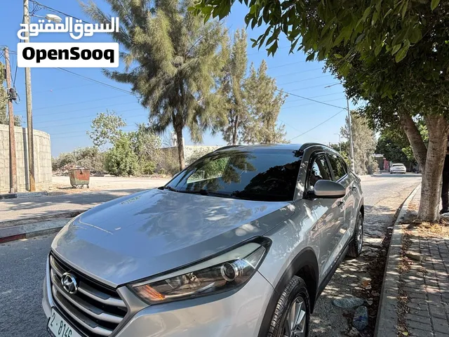 توسان اغلبو دهان شركة دهان قطعتين فقط