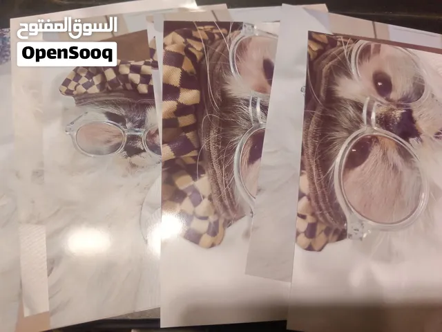 طباعة صور باحجام مختلفه بانسب الاسعار