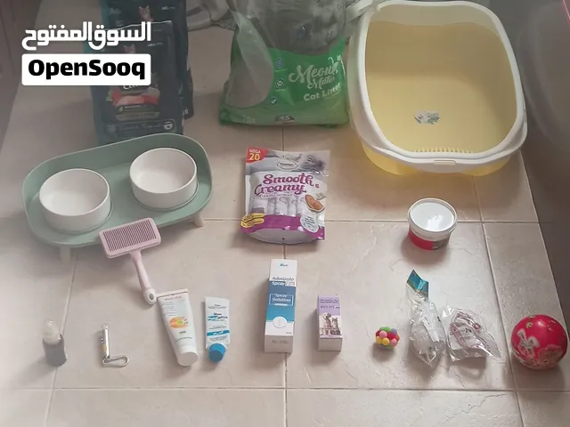 جميع مستلزمات قطط All Cat Supplies