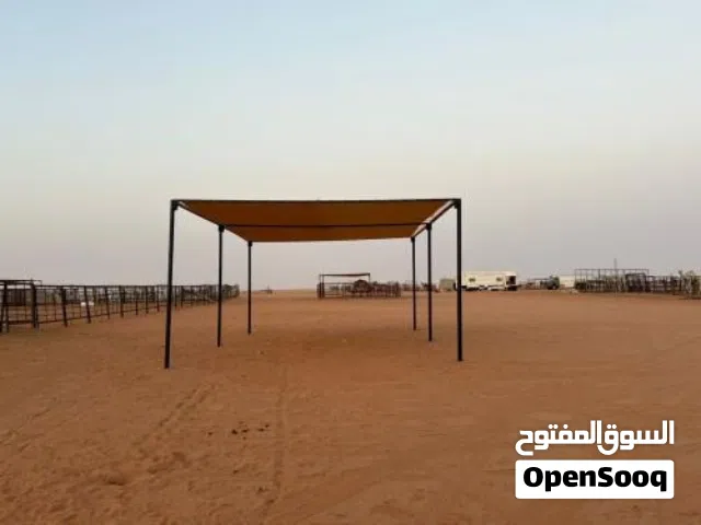 شغل مقاولا شبك تور مظله لحام غزبه ترتيب