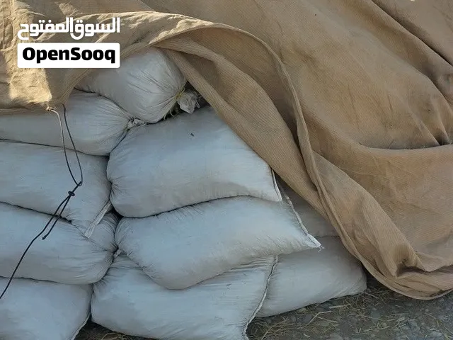 سماد البقر
