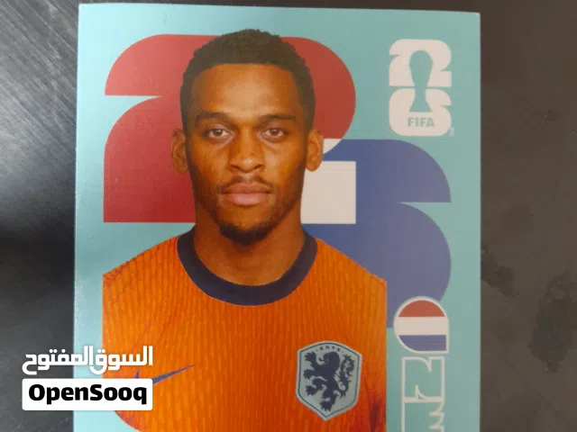 timber panini card