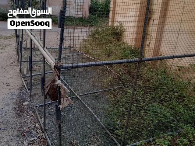 قفص للبيع كبير الحجم