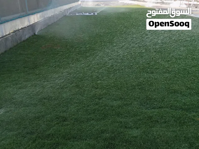 معشب طبيعي أمريكى بجميع انواعه بلس بيلم..وبرمودا... وجميع انواع النباتات الزينه والفاكهة