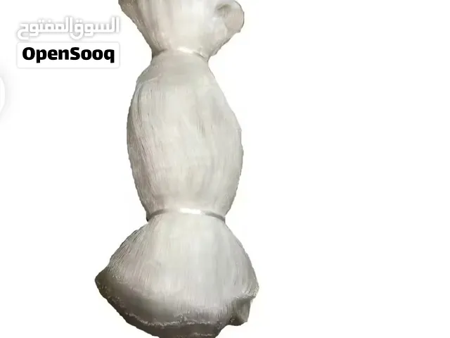 مطلوب ليخ عقرب ثلطعشري او خمصطعشري