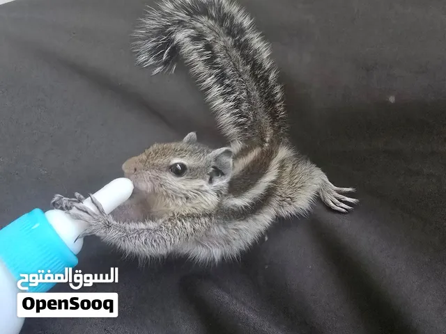 اقرأ الوصف