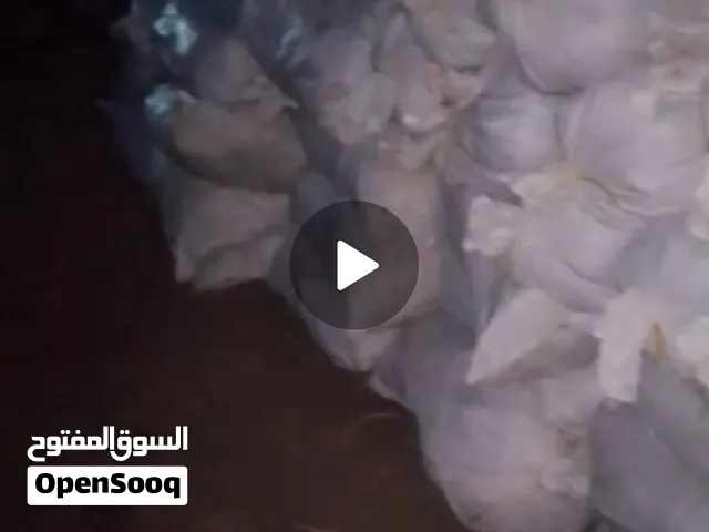 سماااااااد أبقار جديد