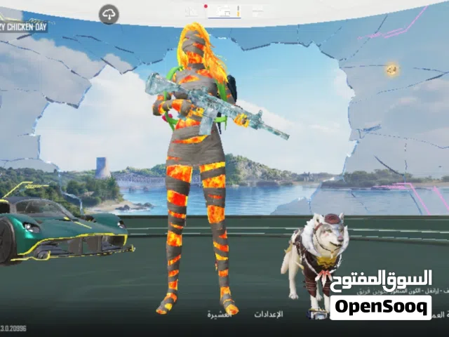 حساب ببجي موبايل pubg mobile