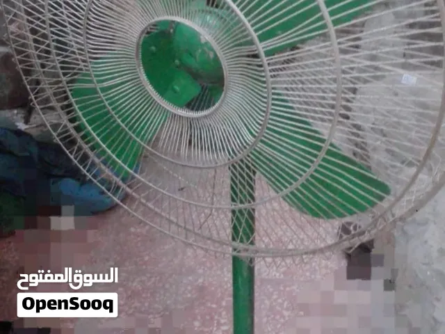 Rent a fan for gatherings مروحة عادية للإيجار