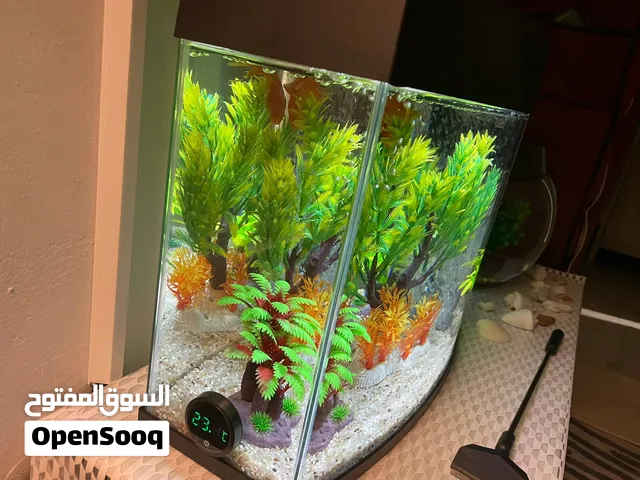 حوض سمك بحاله ممتازه