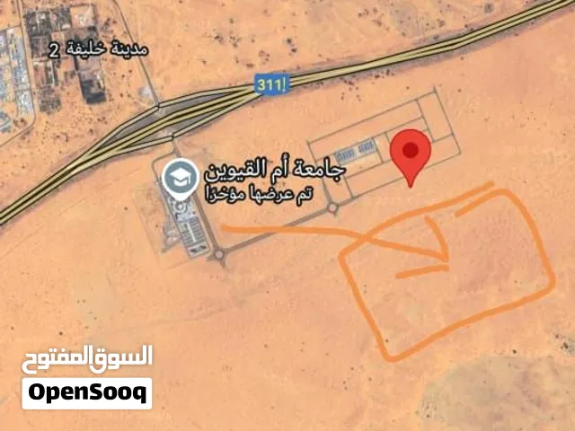 أم القيوين منطقة كابر مشروع بساتين السرة