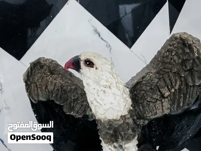 ثنين تماثيل نسر نفس الحجم ثنيهم ابيعهم سوا سعرهن 25 البصرة حي الخليج التواصل هنا فقط................