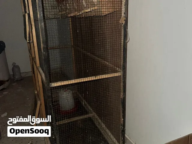 قفص ربي يبارك أستعمال شخصي ربي يبارك. ولي يبيه يتواصل معاي