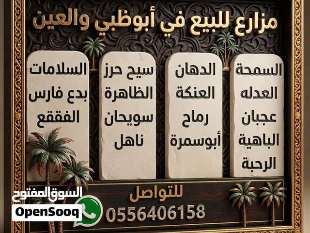 Farm Land for Sale in Abu Dhabi Al Samha