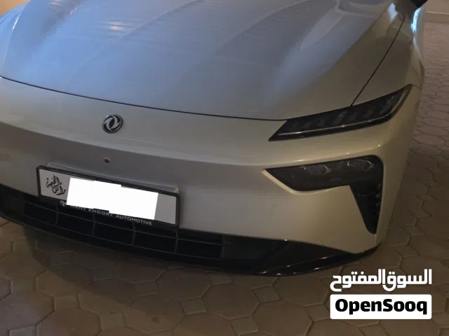 2026 دونج فينج 007