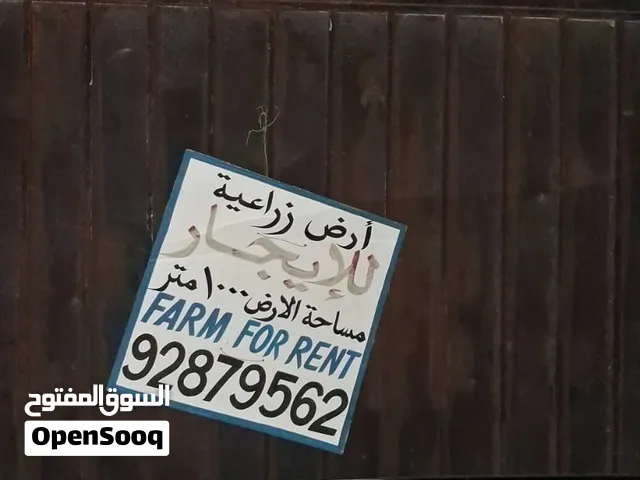 ارض زراعية للاستثمار في السيب/المعبيلة