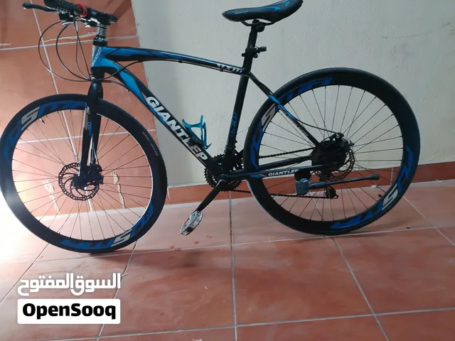 Hybrid Bicycle GIANTLEP
