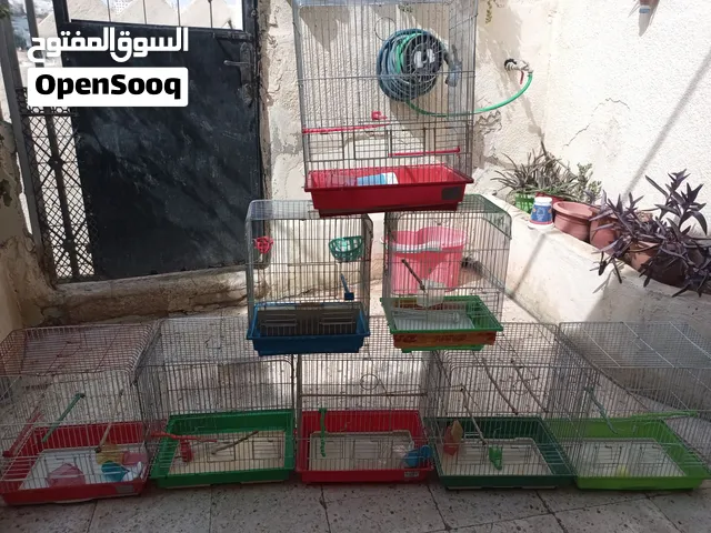 اقفاص ومعالف ومشارب