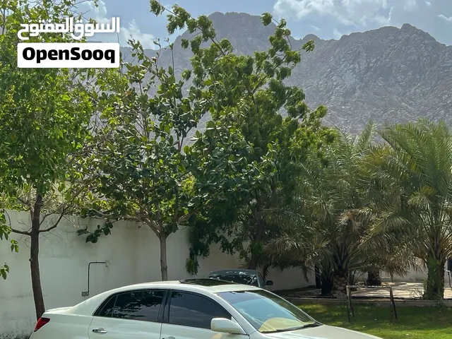للبيع افالون