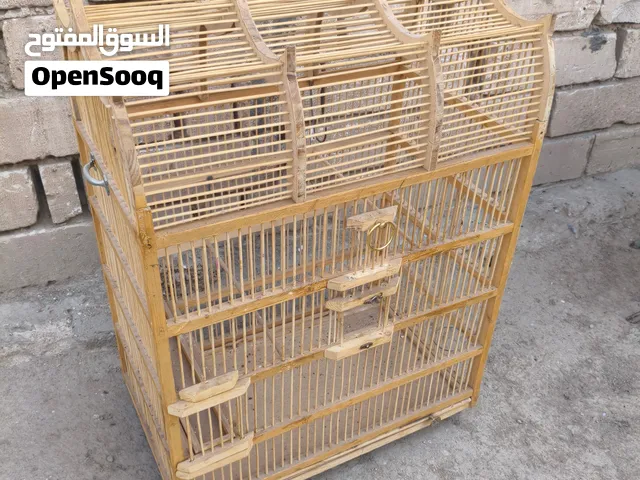سلام عليكم متاح قف بلابل لبيع بكاني بصره سعر 75 وشراي يدلل
