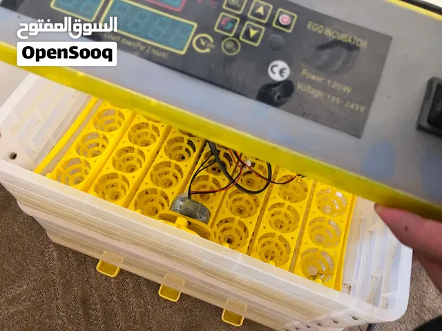 متوفر حضانه للبييععع استعمال شهرين ففقط تحمل 112 بيضه نسبة تفقيص 99/% كجر توماتك وكجر قلاب يدوي الس