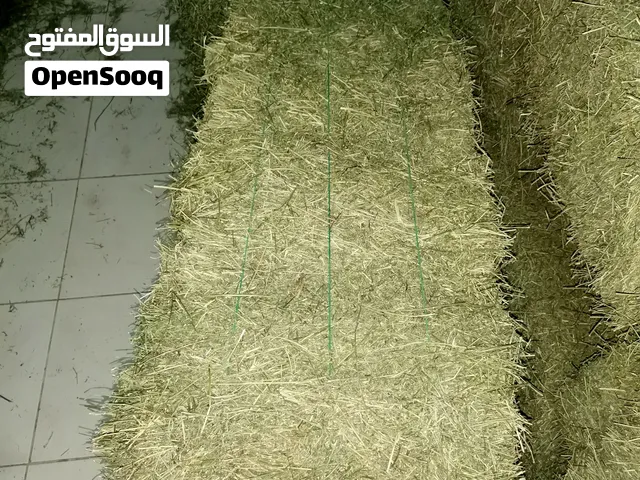 قت صلاله برايد متوفر بحجمين فلوصف
