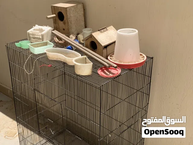 Large metal bird/parrot cage with multiple feeders and accessories