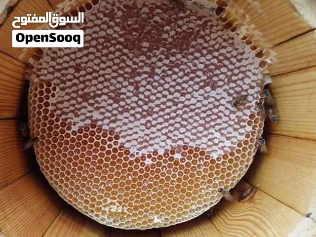 عسل دوعني من أرض حضرموت اليمن