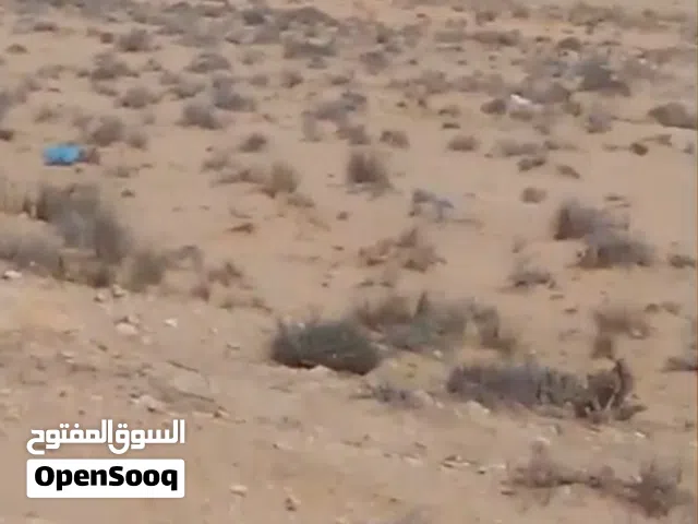 140 هكتار للبيع عالكياس في تطاوين