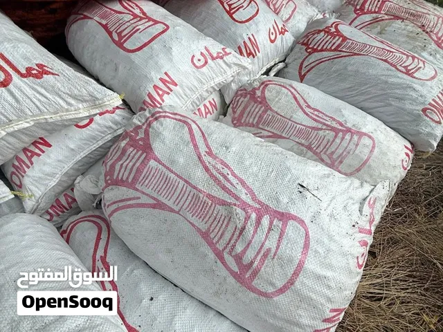 سح نفيعه مال السنه