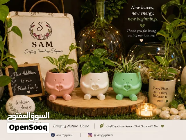 Happy plant pots with ur fav plant for home n gifting