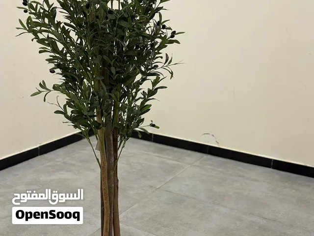 شجره الهبه شجره الزيتون الجميله الصناعيه