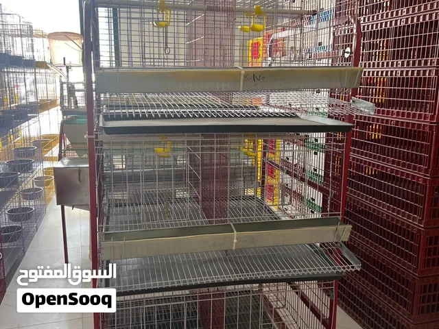 بطارية دجاج