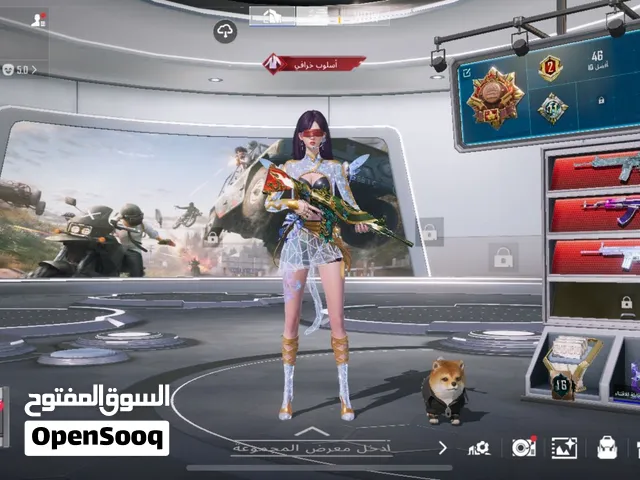 حساب ببجي للبيع