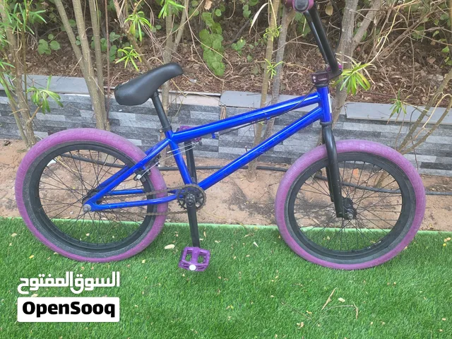 Elite BMX Stealth Pee Wee BMX Bicycle