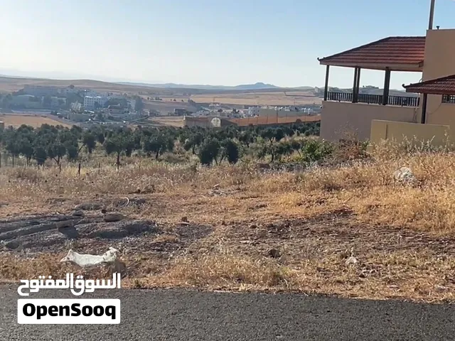 Farm Land for Sale in Irbid An-Nuayyimah