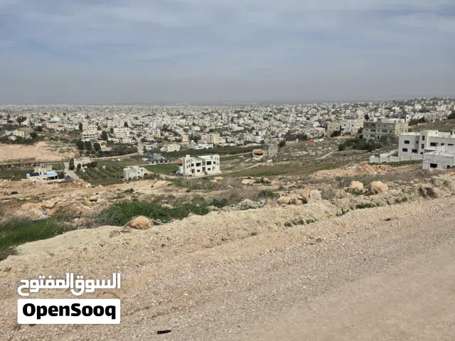 Residential Land for Sale in Irbid Al Husn