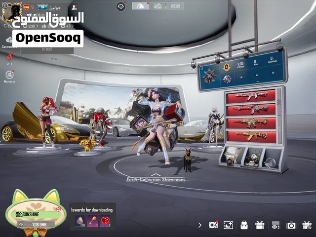 Pubg Accounts and Characters for Sale in Sharjah