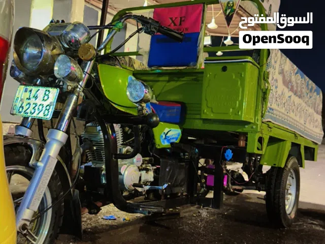 ستوته كربلائيه 2025