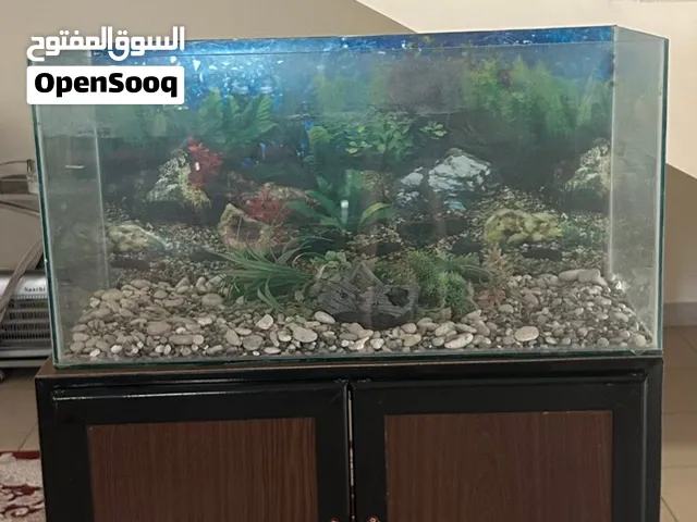 Fish Tank / Aquarium for Sale
