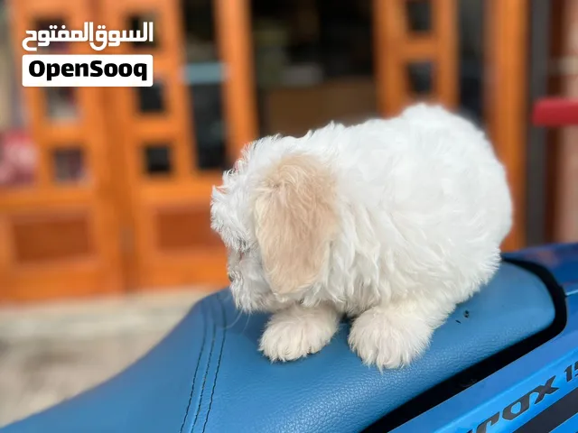 عمرها 45 يوم
