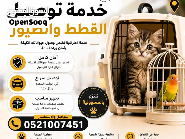 دروب للتوصيل  Doroob Delivery  نوفر خدمة توصيل آمنة وسريعة للقطط، والطيور، والحيوانات الأليفة